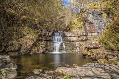 Waterfall in forest