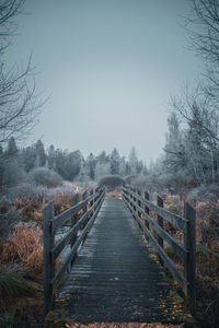 Footbridge amidst trees against sky during winter