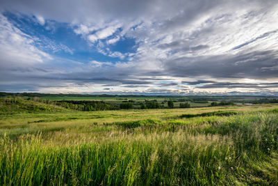 Scenic view of field against sky during sunset