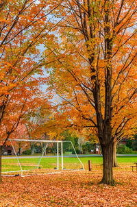 Trees in park during autumn