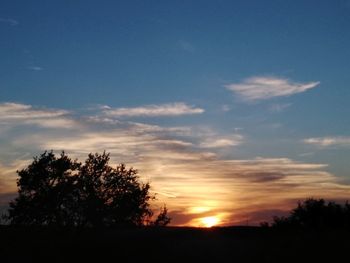 Silhouette trees against sky during sunset