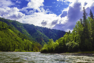 Scenic view of river amidst trees against sky