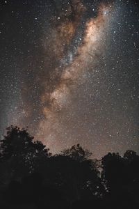 Low angle view of silhouette trees against sky at night