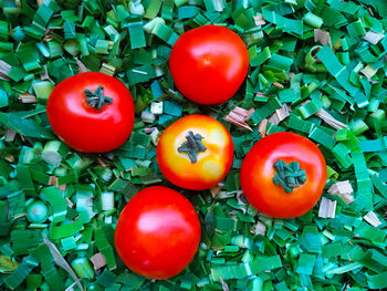 High angle view of chopped tomatoes and plants