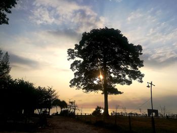 Silhouette trees on field against sky during sunset