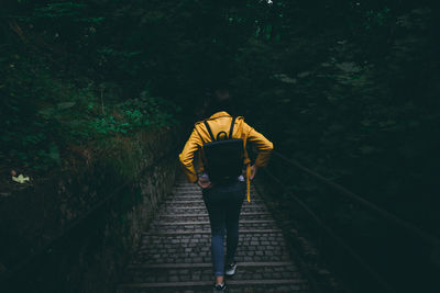 Rear view of woman walking on footpath