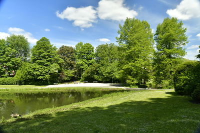 Scenic view of lake by trees against sky