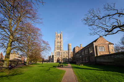 View of trees and buildings against sky