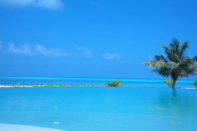 Scenic view of calm sea against blue sky