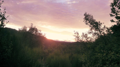 Scenic view of landscape against sky during sunset