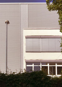 Bird in front of building