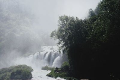Scenic view of waterfall in forest