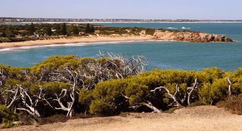 Scenic view of sea against clear sky