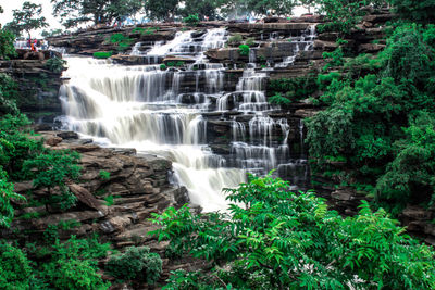 Scenic view of waterfall in forest