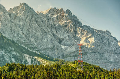 Plants growing on rocky mountain against sky