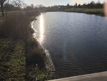 Scenic view of lake in forest