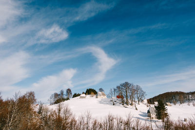 Trees on snow covered land against sky