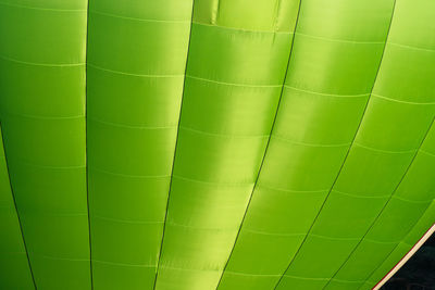 Full frame shot of green plant