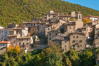 Houses and trees in town