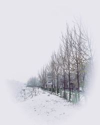 Bare tree against clear sky during winter