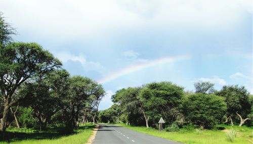 Road amidst trees against rainbow in sky