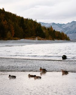 Scenic view of lake against sky during winter