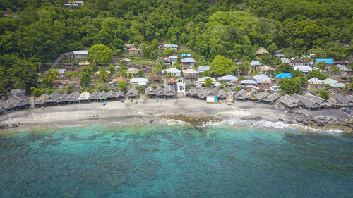 High angle view of trees by sea