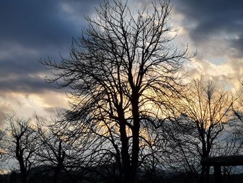 Low angle view of silhouette bare tree against sky during sunset