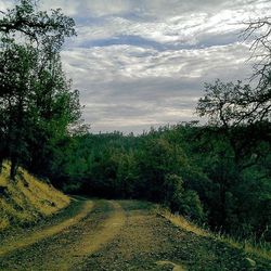 Trees on landscape against cloudy sky