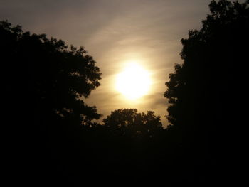 Silhouette of trees against sky at sunset