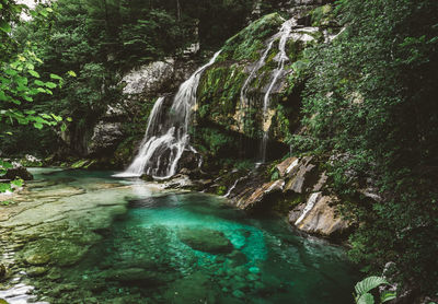 Scenic view of waterfall in forest