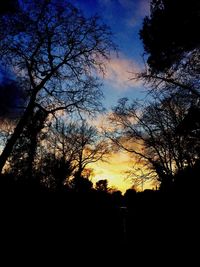 Low angle view of silhouette trees against sky at sunset