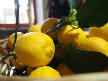 Close-up of fruits