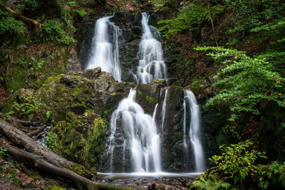 View of waterfall in forest