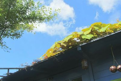 Low angle view of yellow built structure against sky