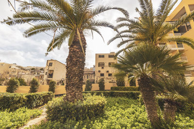 View of palm trees against sky