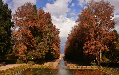 Trees by footpath in park during autumn