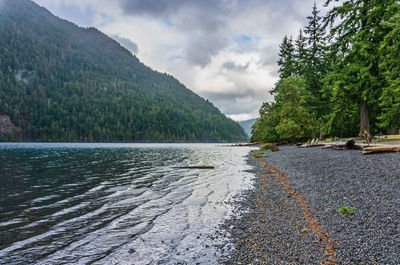 The shoreline at lake crescent in washington state.