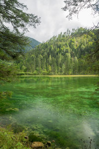 Scenic view of lake by trees against sky