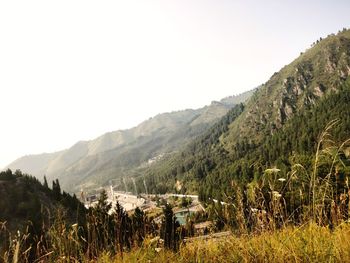 Scenic view of field against clear sky