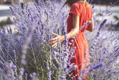 Midsection of woman standing amidst plants