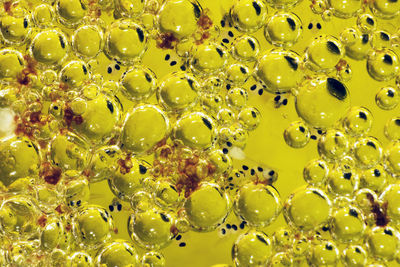 Full frame shot of bubbles