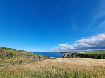 A lovely summer walk along the coast in banffshire at rspb scotland troup head