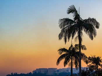 Silhouette palm tree against sky during sunset