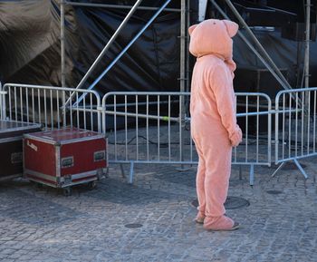 Side view of person in animal costume standing on cobbled footpath