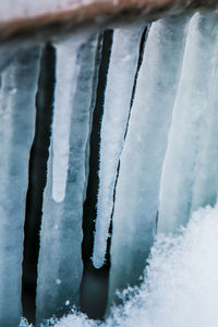 Close-up of icicles