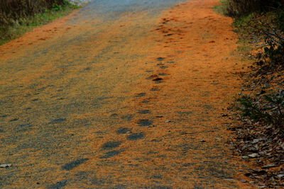 Road passing through landscape