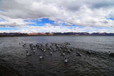 Scenic view of lake against sky