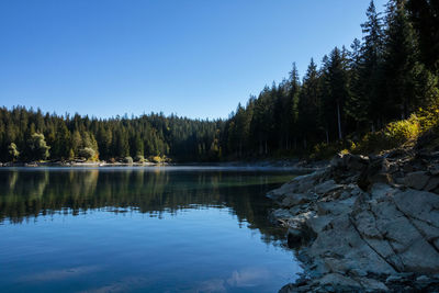 Scenic view of lake in forest against clear blue sky