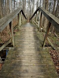 Steps amidst trees in forest